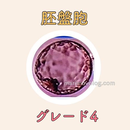 胚盤胞グレード4（G4）の妊娠率