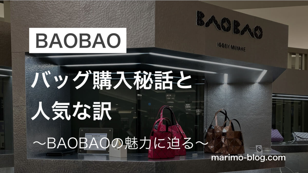 BAOBAOバッグを購入！買えたコツや人気の理由を語る