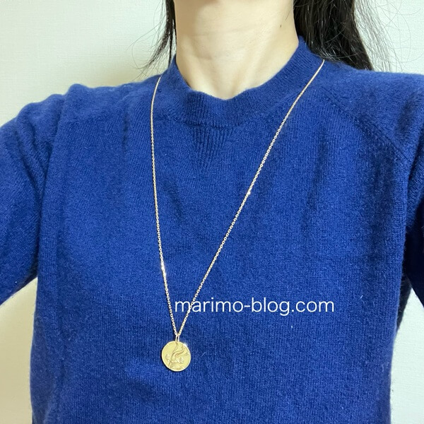 ヴァンクリのフォルサチェーン70cmとゾディアック水瓶座の着画