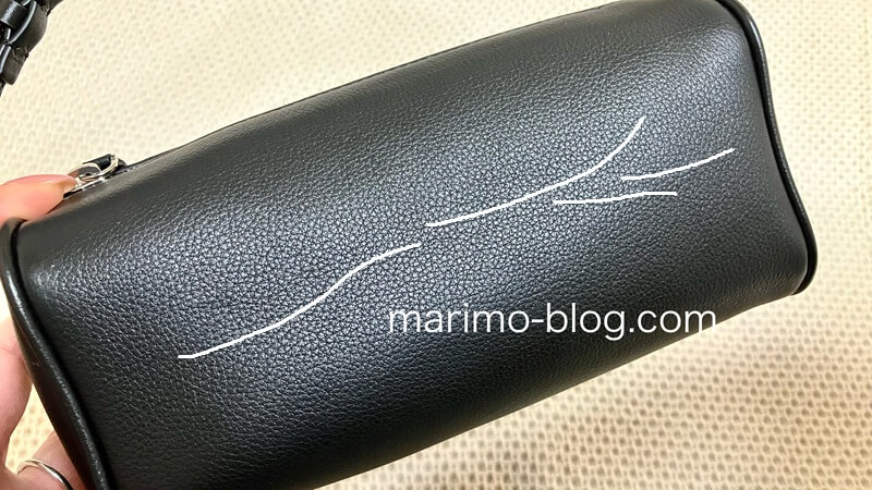 the row 90's bagの血筋の個体差