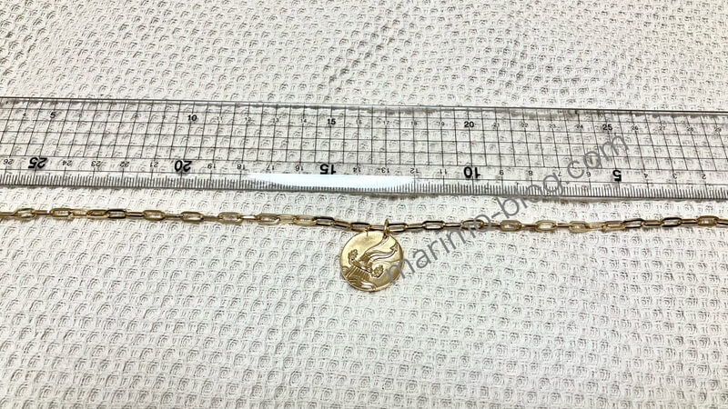 ヴァンクリゾディアックネックレスにカルティエサントス風チェーンが通る